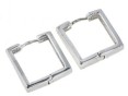 Серьги, серебро 925 001 01 22-00596 2009 г инфо 10365w.